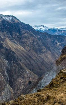 Cañón del Colca